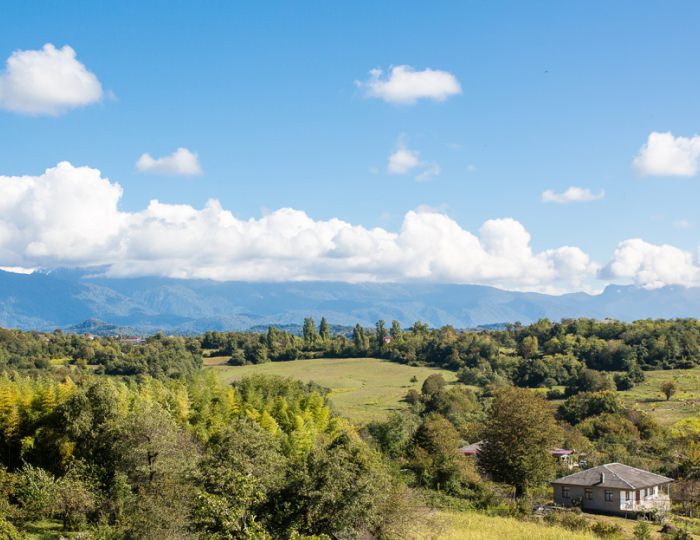 Внешний вид и территория - Пансионат «Золотой берег»